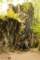 small_mg_8800_small.jpg