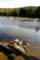 small_mg_2433_small.jpg