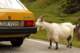 small_mg_2568_small.jpg