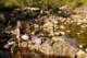 small_mg_2731_small.jpg