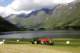small_mg_3087_small.jpg