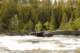 small_mg_3685_small.jpg