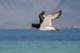 small_mg_4415_small.jpg