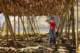 small_mg_4560_small.jpg