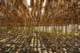 small_mg_4561_small.jpg