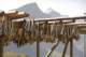 small_mg_4566_small.jpg