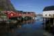 small_mg_4589_small.jpg