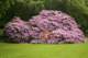 small_mg_5862_small.jpg
