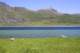 small_mg_7016_small.jpg
